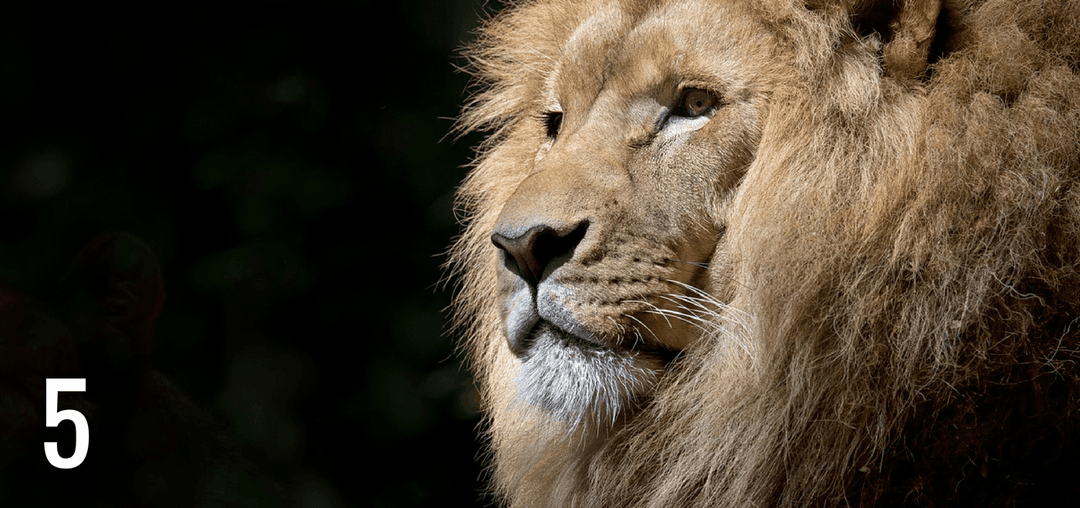 5 Reasons Why Independent (commission-only) Salespeople Earn More Than Employees